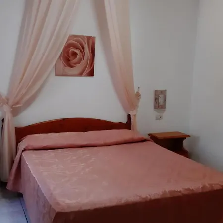 Oasi